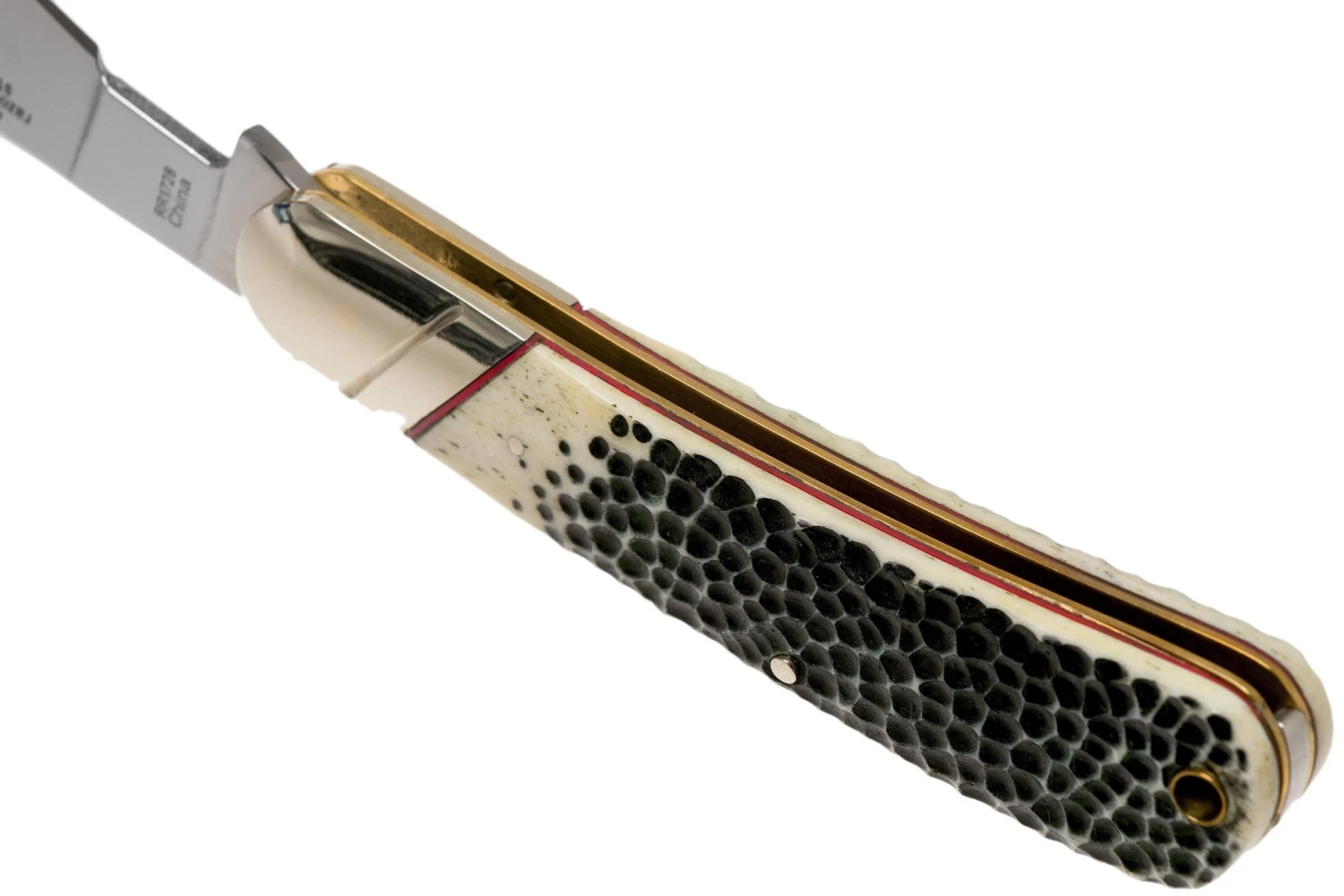 Rough Ryder Buckshot Bone Cotton Sampler RR1728 Couteau De Poche 7 Rough Ryder Buckshot Bone Cotton Sampler RR1728 Couteau De Poche – Image 5